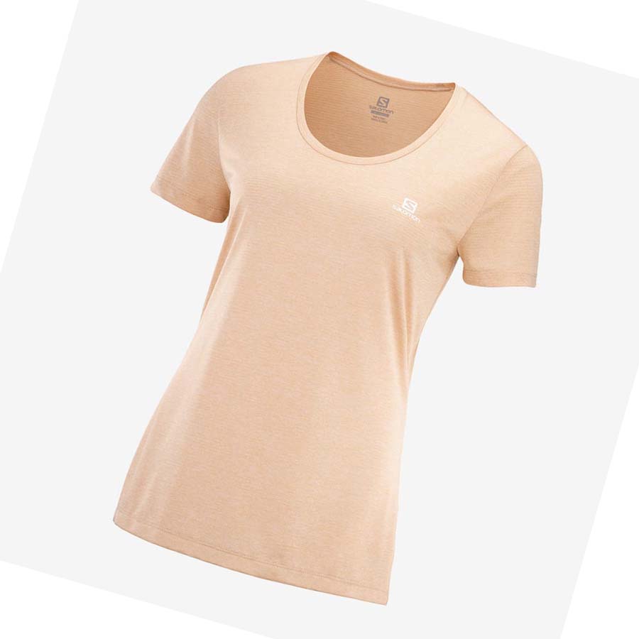 Camiseta Salomon AGILE Mujer Beige | MX 2555YXF